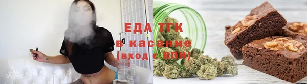 индика Абаза