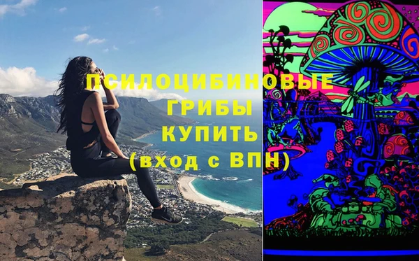 скорость Алексин