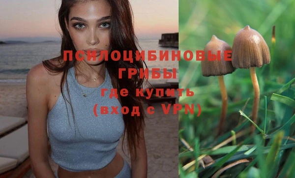 скорость Алексин